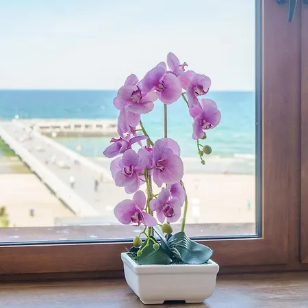 3l Przy Molo * Kolobrzeg